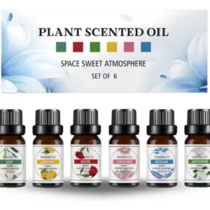 ACEITE PARA HUMIFICADOR 10 ML (VISHMANNI)