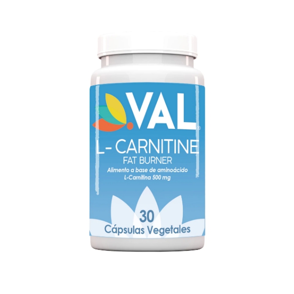 L-CARNITINA 500MG X 30 CAP (VAL)