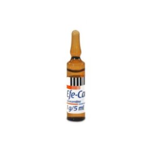 EFE-CARN 1G/5ML X 1 AMP(LEVOCARNITINA)(IV/IM)(PISA)