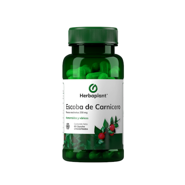 ESCOBA DE CARNICERO 350MG X 60 CAP (HERBAPLANT)