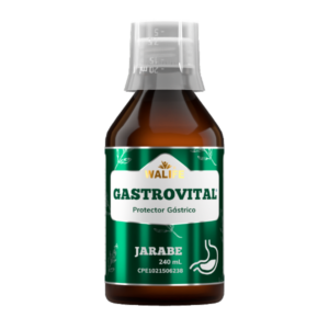 # GASTROVITAL JBE ADULTO/PEDIATRICO X 240ML (PROTECTOR GASTRICO) (WALIFE)