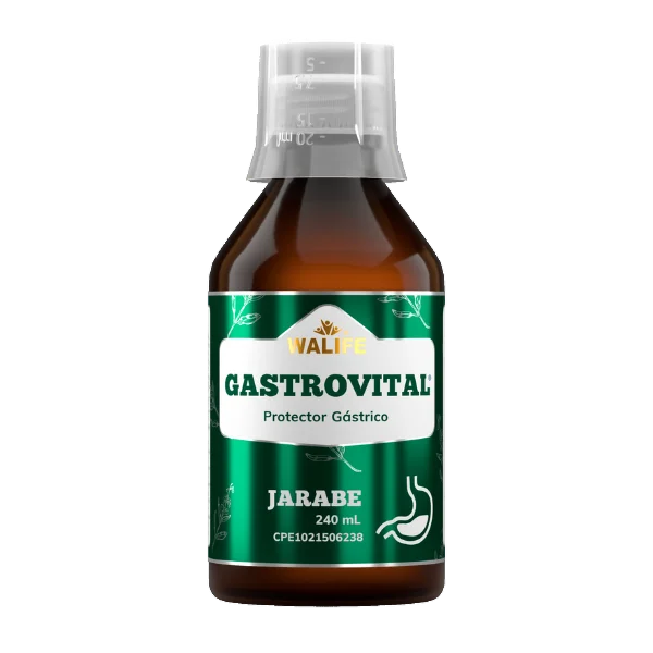 # GASTROVITAL JBE ADULTO/PEDIATRICO X 240ML (PROTECTOR GASTRICO) (WALIFE)