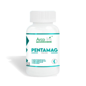 PENTAMAG X60 CAPS (CITRATO DE MAGNESIO) (ARCO IRIS)